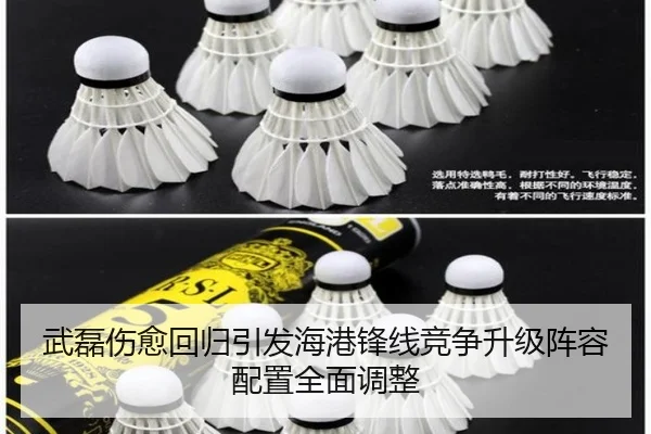 武磊伤愈回归引发海港锋线竞争升级阵容配置全面调整
